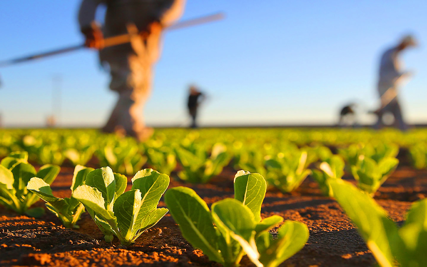 Governo lança programa para ampliação da Reforma Agrária no “Abril Vermelho”