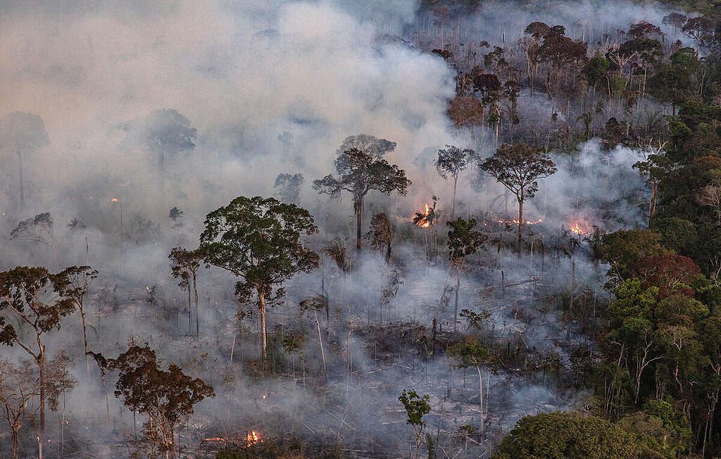 Fogo no campo revela novo desafio para cumprimento de contratos