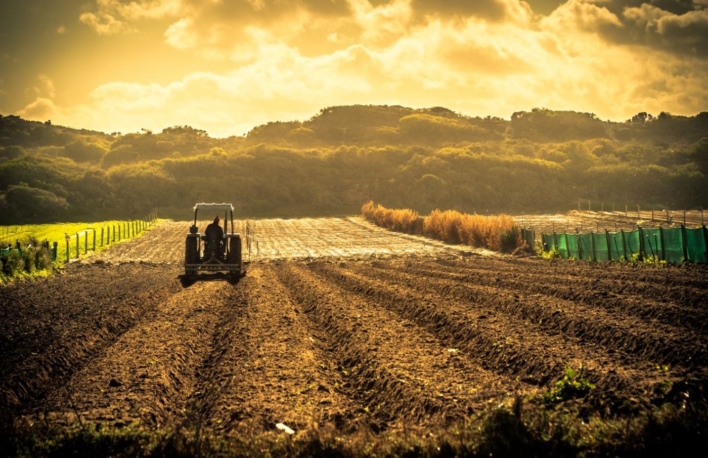 Recuperações judiciais no agro: as 10 maiores somam R$ 12 bilhões; veja lista