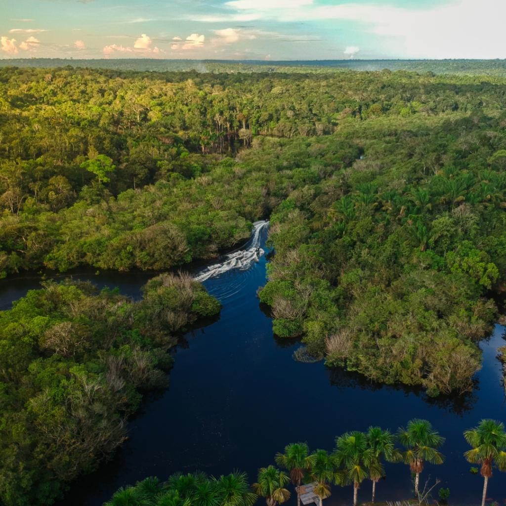 STJ Entende que Novo Código Florestal Pode Retroagir para Dispensa de Averbação de Reserva Legal