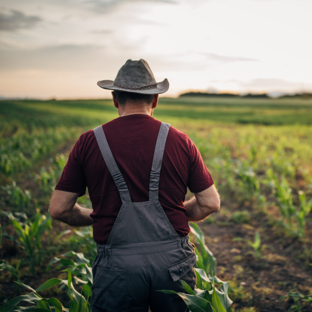 Contratos agrários têm diferentes impactos diante de queimadas