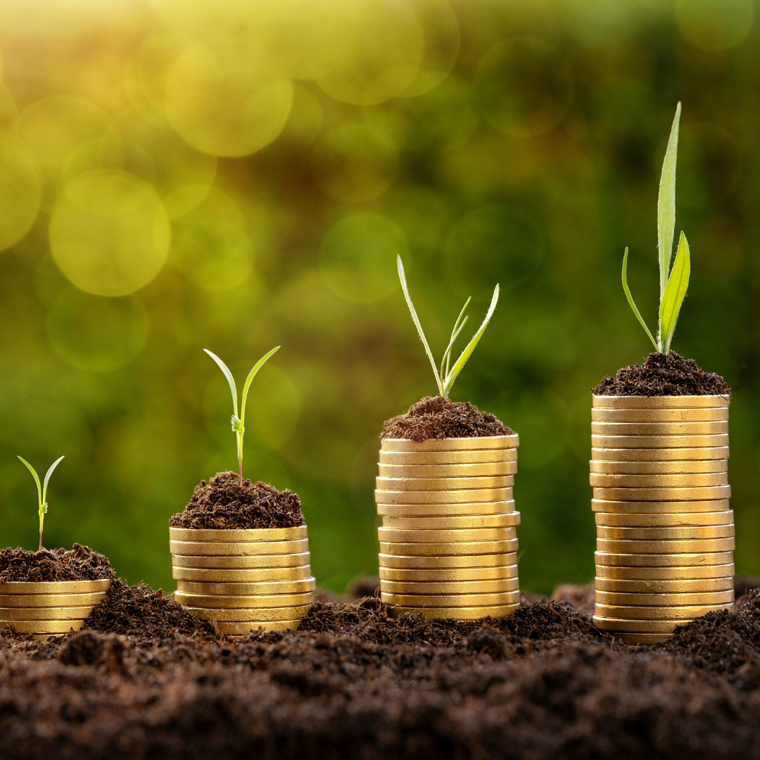 Advogados criticam declaração do BB sobre vetar crédito a produtores em recuperação judicial Advogados criticam declaração do BB sobre vetar crédito a produtores em recuperação judicial