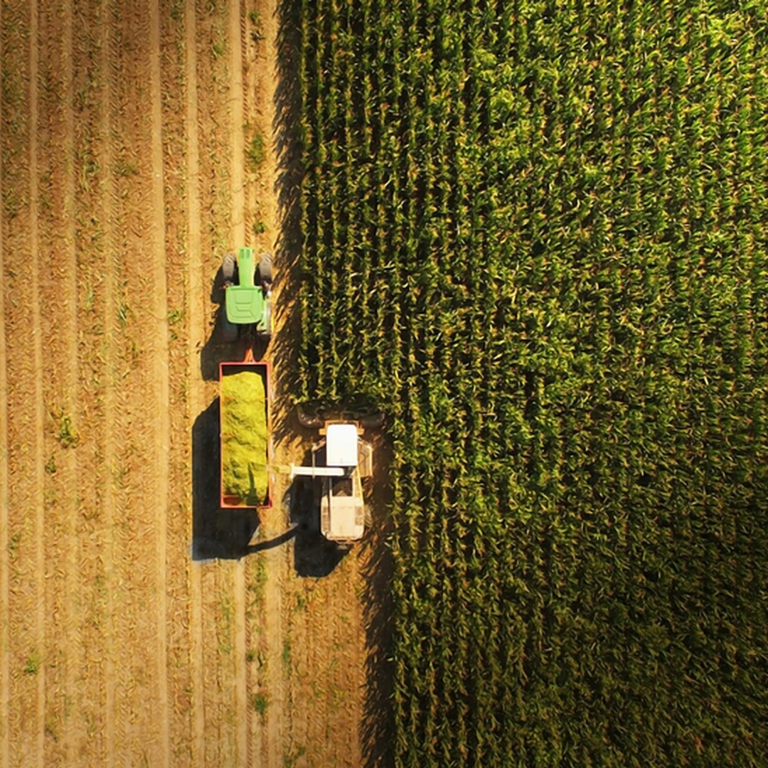 Exigência de nota fiscal eletrônica para produtos agropecuários entra em vigor dia 1º de outubro