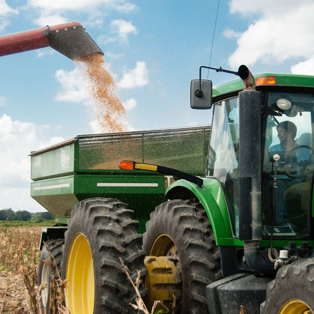 Recuperação judicial: dívida das 10 maiores no Agro chega a R$ 15,7 bilhões.