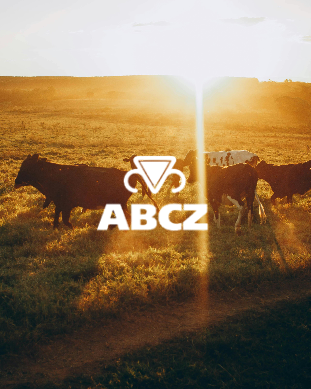 ABCZ fortalece defesa do produtor rural em Brasília